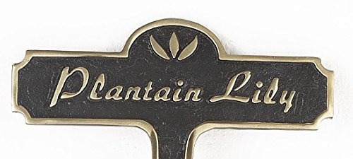 Black Country Metal Works Plantain Lily Brass Garden Plant Sign