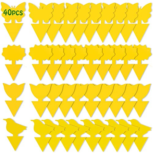 Fruit Fly Trap, 40 Pack Fruit Fly Killer Yellow Sticky Bug Insect Killer Double-sided Insect Catcher Sticky Bug Sticky Fruit Fly Killer for Houseplant Indoor and Outdoor