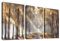 3 Pcs Sonniger Waldbaum Mit Rahmen Leinwand Bilder Abstrakte braune Wälder Bild auf Leinwand Malerei Poster Wandbilder Wanddeko Gaststätte Wohnzimmer Schlafzimmer Dekorationen 120x60cm (16x24x3pcs)