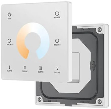 1PCS 2CH Tuya Wifi LED Dimmer 12V 24V 36V DC 2,4G RF Wireless Remote dimmer Schalter 2CH * 5A WW CW CCT Controller WT1 Alexa Dimmer(Color:TW2-W Wall Panel)