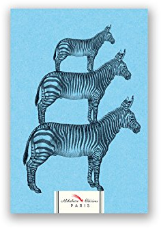 Zebra: Ancient Engraving of Zebras on Blue