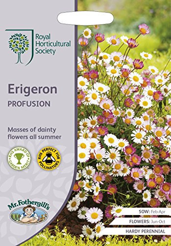 Mr Fothergills - Flower - RHS Erigeron Profusion - 250 Seeds