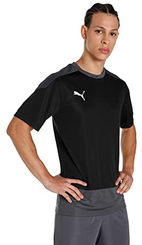 Puma Men's teamGOAL 23 Training Jersey T-Shirt, Black-Asphalt, 3XL