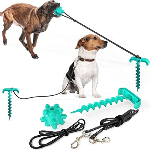 DHGTEP Attache pour Chien en Tire-Bouchon, Câble de Sortie pour Chiens, Laisse et Piquet pour la Cour du Chien, Idéal pour Le Camping ou Le Jardin (Color : Blue)