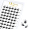 QUEWEL Cluster Lashes 72 Pcs Wide Stem Individual Lashes C/D Curl 8-16mm Length DIY Eyelash Extension False Eyelashes Soft for Personal Makeup Use at Home (Fluffy02-C-16)
