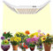 SPF6000 LED Grow Light 3 Tipi di Luce di Coltivazione a Spettro Completo Lampada per Piante 600W 180x180cm Cover con 1911pcs Diodi Sam-sung, Lampade per Coltivazione Indoor con Timer Dimmerabile