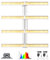 BLOOM PLUS BP5000Pro Grow Light 4x4 ft Abdeckung Dimmbare Full Spectrum 500W Grow Lampe für Indoor Pflanzen Veg und Flower Grow Lampen für 3x3/4x4 Grow Zelt