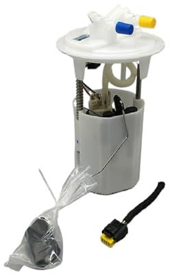 Conjunto de Bomba de Combustible for Coche, Compatible con Peugeot 206, 301, 306, 307, 405, Citroen C2, C5 (Color : For 206 306 307)