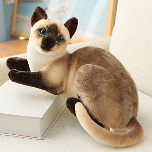 Kuscheltier Katze Lebensecht, 30cm Simulation Kurzhaar Nette Katze Puppe Flauschigen Plüsch Kätzchen Liegend Stofftier echt siamesische Katze Plüschtier Katze Plüschfiur Spielzeug für Kinder Frauen