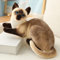 Kuscheltier Katze Lebensecht, 30cm Simulation Kurzhaar Nette Katze Puppe Flauschigen Plüsch Kätzchen Liegend Stofftier echt siamesische Katze Plüschtier Katze Plüschfiur Spielzeug für Kinder Frauen