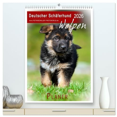 Deutscher Schäferhund - Welpen, Planer (hochwertiger Premium Wandkalender 2026 DIN A2 hoch), Kunstdruck in Hochglanz: Hundewelpen... (CALVENDO Tiere)