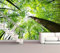 Vlies XXL-Poster Tapete Fototapete Natur Wald Bäume Blick nach oben Material Vlies ohne Kleber, Größe 300 x 220 cm 3-tlg
