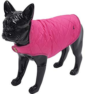 Rosewood Joules Raspberry Hundemantel, gesteppt, Größe L