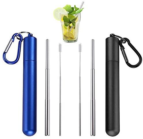 2 Pièces Paille Inox Pailles Réutilisables Télescopiques Pailles à Boire Portables en Acier Inoxydable avec Brosse de Nettoyage, Étui et Mousqueton pour les Voyages, la Famille et le Travail