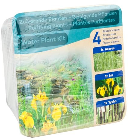 Moerings Waterplants Pond Planting Complete Kit – Purifying Plants (Iris, Acorus and Typha)