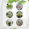 50 Pcs Grünlilie Samen - Chlorophytum Comosum - Geschenke Für Gärtner, Gartendeko Für Draußen Grünlilien Grünlilien Pflanzen Samen, Pflanzen Geschenk, Exotische Zimmerpflanzen Geschenke