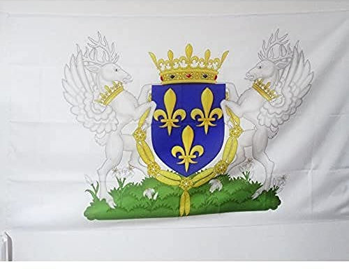 AZ FLAG - Drapeau Blason royaume de France Charles VI - 150x90 cm - Drapeau Royaliste Français 100% Polyester Avec Fourreau et cordelette - Pavillon 110 g
