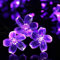 KINGCOO Solarlampen Blumen Schnur Lichter Außen, Wasserdicht 23ft/7m 50 LED Pfirsichblüte Kirschblüte Solar Lichterkette für Gärten Häuser Hochzeit Weihnachtsfeier Dekorationen(Lila)