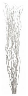 Homestreet Bouquet de brindilles torsadées en osier pour vases et présentoirs sur pied - 120 cm de haut - Marron, noir, argent, or ou naturel (argent)