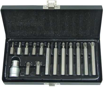 SCREWDRIVER BIT SET TORX 15PCS