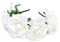 Cheerlife Rosen Blumen-Stirnband Blumenkranz Urlaub Hochzeit Festivals Haarkranz Blumenkrone (201# Weiß)