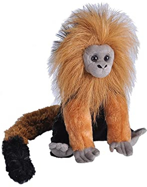 Wild Republic Golden Lion Tamarin Plüsch Kuscheltier Cuddlekins Kuscheltiere Geschenke für Kinder 30cm
