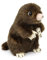 Teddys Rothenburg Kuscheltier Maulwurf braun 14 cm Plüschmaulwurf Plüschtier