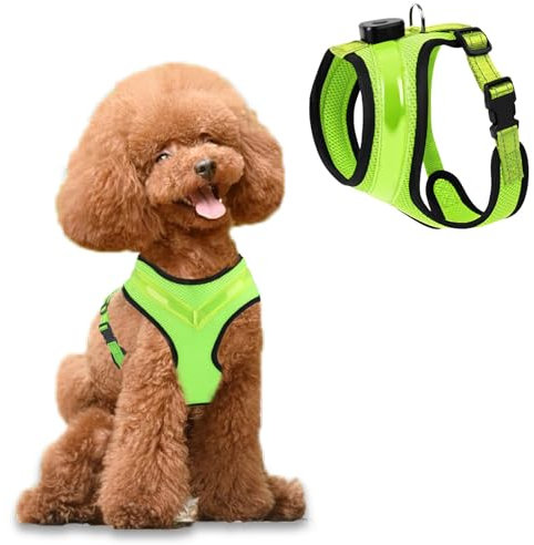 Fancysky Hundegeschirr Leuchtend Aufladbar Wiederaufladbarkeit, LED Leuchtgeschirr für Hunde, Atmungsaktive Hundegeschirre für Kleine und mittlere Hunde (S)
