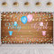 Geschlecht Verraten Party Dekoration Zubehör Boy or Girl Geschlecht Verraten Hintergrund Rosa Blau What Will Baby Be Schwangerschaft Verraten Banner Fotografie Hintergrund, 70,8 x 43,3 Zoll