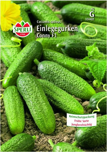 Einlegegurken Conny F1 (verb. Bimbostar)