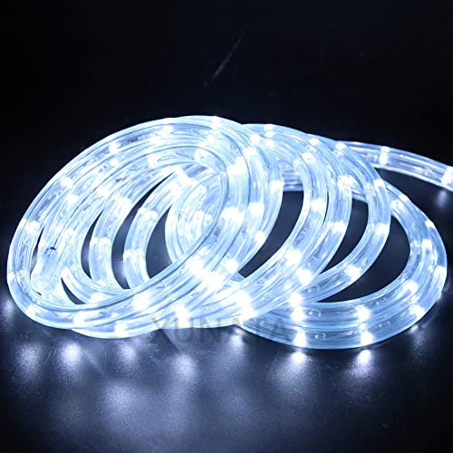 Wisada Ruban LED 220V Blanc Chaud 10M Extérieur - Bandeau Lumineux Avec Prise EU Sans Transformateur (2m, Blanc)