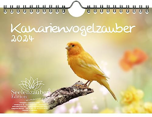 Kanarienvogelzauber DIN A5 Wandkalender für 2024 Kanarienvogel - Geschenkset Inhalt: 1x Kalender, 1x Weihnachtskarte (insgesamt 2 Teile)