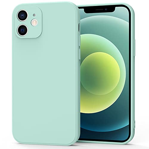 Vancle iPhone 12 Case, Light Cyan, Silicone, Unique Design, Shockproof, Anti-Scratch, Matte Finish