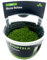 Stoffels Riccia fluitans in-vitro