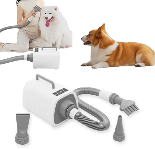 Asciugacapelli per cani, Blower Pet Dryer per animali domestici, ventilatore professionale per la cura della pelle degli animali domestici, asciugacapelli professionale, asciugacapelli per cani