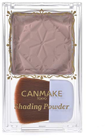 Canmake Shading Powder 04 Ice Gray Brown