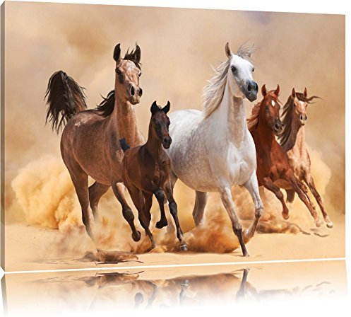 Pixxprint Western Pferde in Wüste mit Fohlen, Größe: 100x70cm, Leinwandbild, fertig gespannt, Wandbild, Dekoration, Kunstdruck, kein Poster