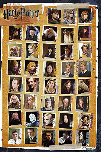 Empire 349453 Poster Harry Potter 7 Les reliques de la mort 61 x 91.5 cm