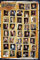 Empire 349453 Poster Harry Potter 7 Les reliques de la mort 61 x 91.5 cm