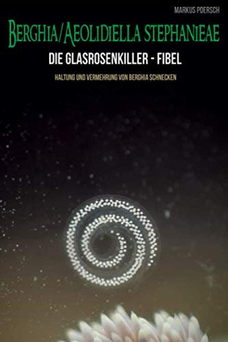 Die Glasrosenkiller-Fibel: Haltung und Vermehrung von Berghia Schnecken. Berghia- /Aeolidiella stephanieae
