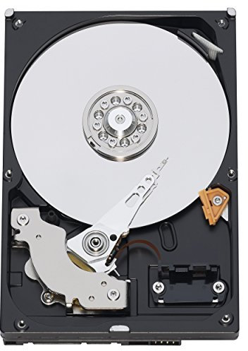 Western Digital Caviar Blue WD800AAJS - Hard disk interno SATA-300, 80 GB