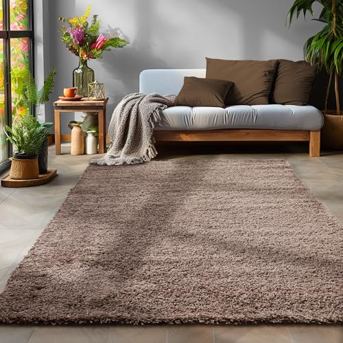 SIMPEX Flauschiger Teppich Wohnzimmer Schlafzimmer Läufer Flur Esszimmer Küchenteppich Hochflor Einfarbig Modernes Design 30 mm Florhöhe Kuschelweich, Taupe, 200 x 290 cm