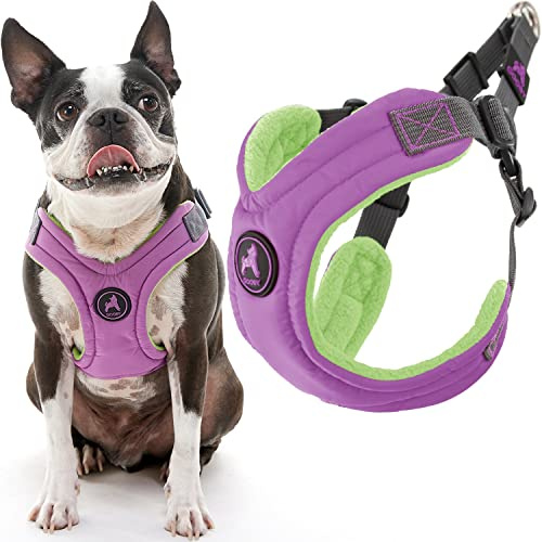 Gooby Ausbruchsicheres Hundegeschirr mit Memoryschaum, kein Ziehen, Step-in, mit Vier-Punkt-Anpassung, perfekt für unterwegs, für kleine und mittelgroße Hunde, Größe S, Violett