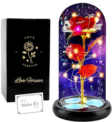 FAYODO Die Schöne und das Biest Ewige Rose,Galaxy Rose Geschenk für Freundin