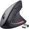 ZenClick Souris Ergonomique Verticale sans Fil – Bluetooth 2.4GHz – Anti-Tendinite – pour PC, Mac, Ordinateur Portable – 5 DPI – 6 Boutons – Souris avec Repose-Poignet Inclus – Design Ultra Confort