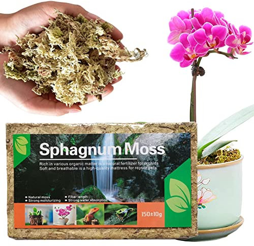 JYFanse Cheysrae 5 Langfaseriges Torfmoos - Orchidee Torfmoos getrocknet | Tolle Orchideen-Erdmischung, perfekt für die Pflanzenvermehrung, natürlich, 5,3 oz/150 g