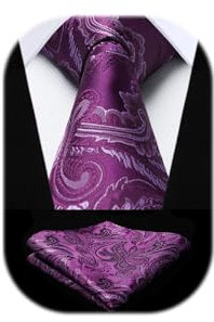 HISDERN Cravate Homme Violet à Motif Cachemire Mariage Élégant Cravates Extra Longues pour Hommes et Carré de poche, XL