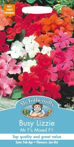 Mr Fothergills - Pictorial Packet - Flower - Busy Lizzie Mr.F's Mixed F1 - 40 Seeds