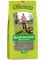 Classic Green Rasen Mischung zum Begrünen 10kg, Rasensamen, Rasensaat