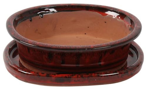 Bonsai Pot with Saucer - Oval 20cm Wide - Deep Red - Perfect for Bonsai Trees and Succulents